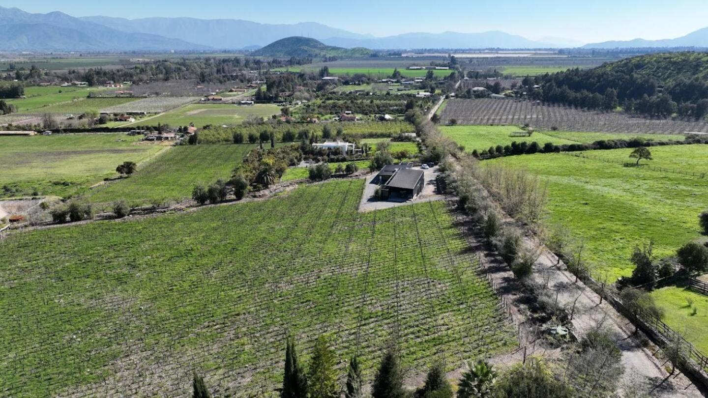 Vina Lof - Maipo Valley Bed & Breakfast In Winery Paine Bagian luar foto