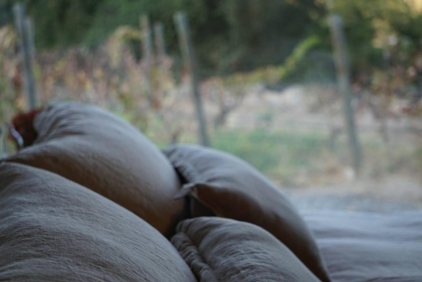 Vina Lof - Maipo Valley Bed & Breakfast In Winery Paine Bagian luar foto