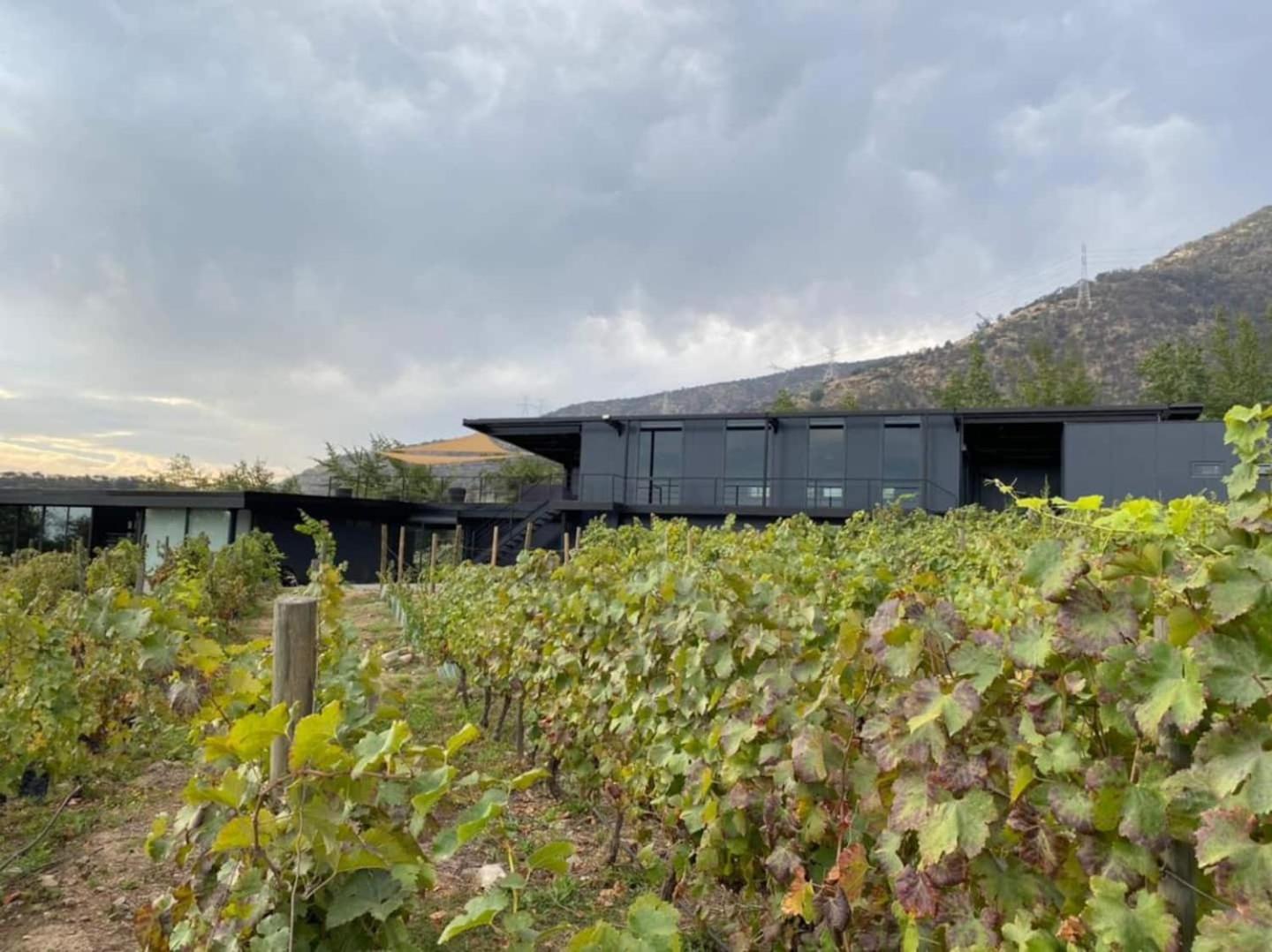 Vina Lof - Maipo Valley Bed & Breakfast In Winery Paine Bagian luar foto