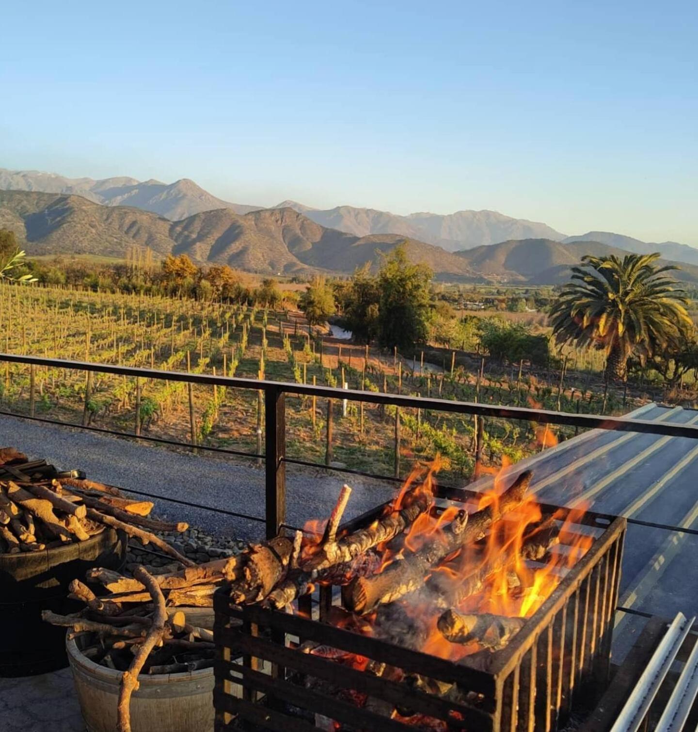 Vina Lof - Maipo Valley Bed & Breakfast In Winery Paine Bagian luar foto