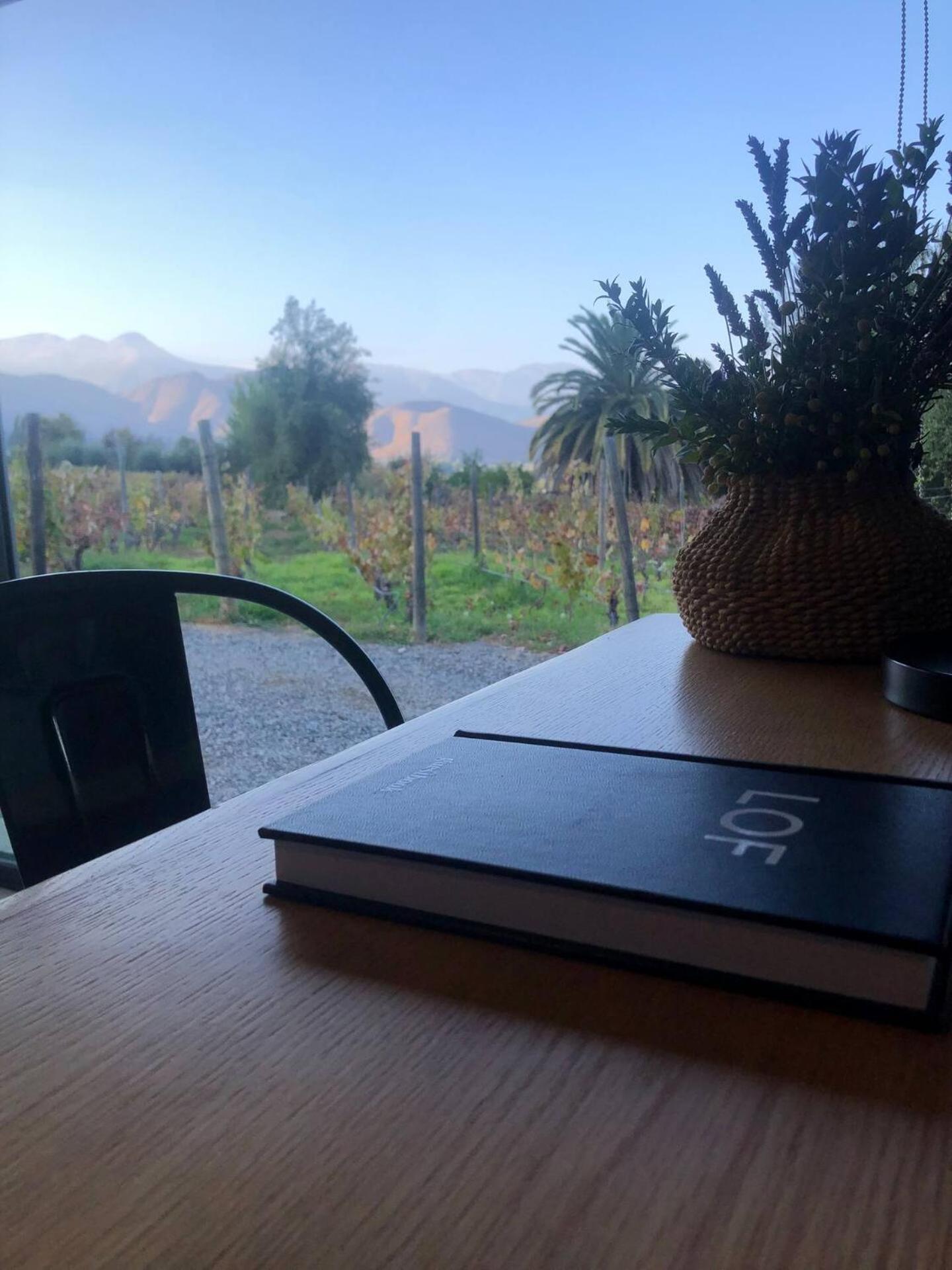Vina Lof - Maipo Valley Bed & Breakfast In Winery Paine Bagian luar foto