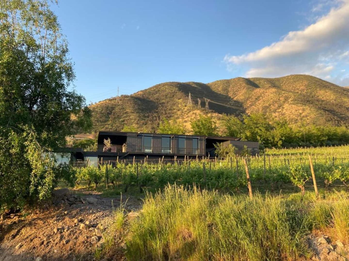 Vina Lof - Maipo Valley Bed & Breakfast In Winery Paine Bagian luar foto